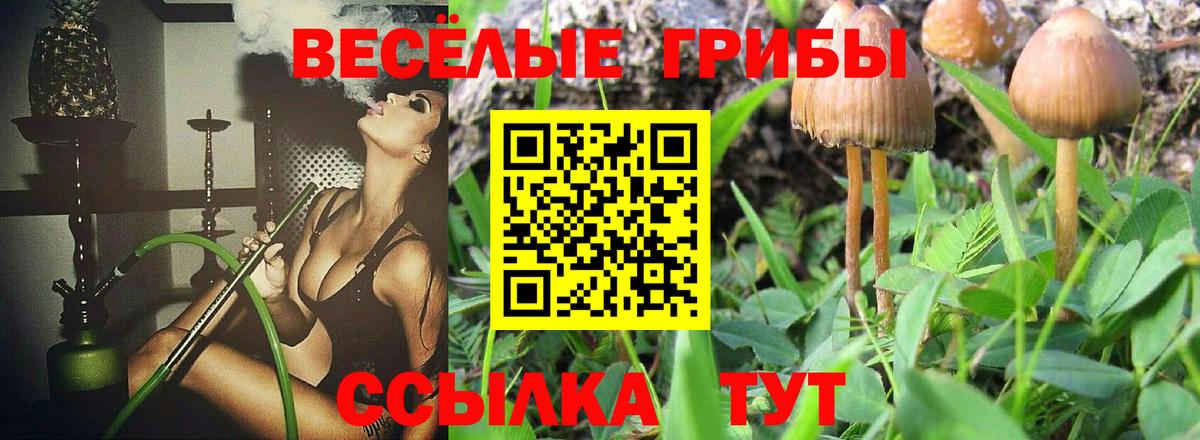 Псилоцибиновые грибы Magic Shrooms Рубцовск