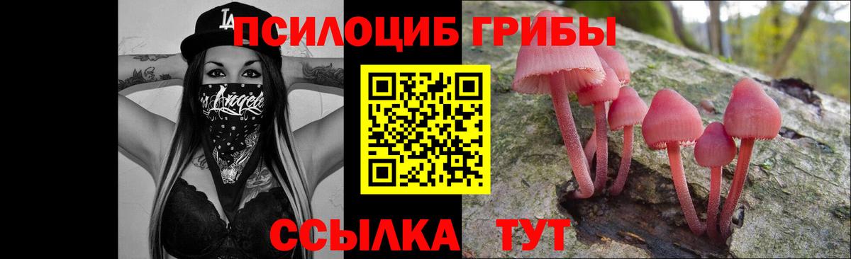 Рубцовск  Псилоцибиновые грибы прущие грибы  Вход с VPN 
